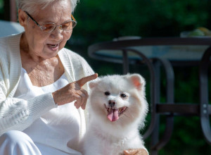 IZBACILA JE TROJE DECE IZ TESTAMENTA I 2,5 MILIONA EVRA OSTAVILA SVOJIM PSIMA I MAČKAMA: Evo zašto je skoro svi podržavaju!