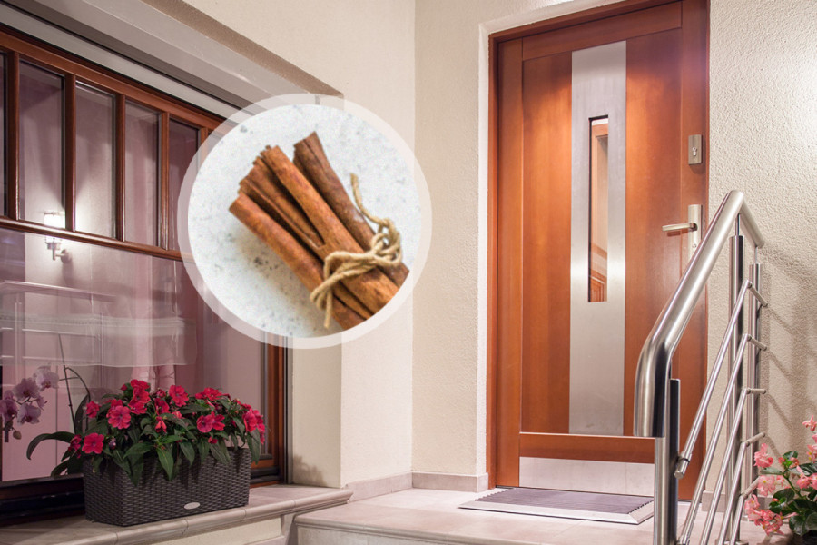 U SEPTEMBRU SVI OSTAVLJAJU CIMET ISPRED VRATA: Kada saznate šta vam to može doneti, i vi ćete to uraditi istog trenutka!