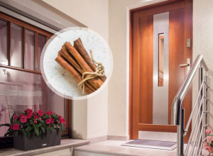 U SEPTEMBRU SVI OSTAVLJAJU CIMET ISPRED VRATA: Kada saznate šta vam to može doneti, i vi ćete to uraditi istog trenutka!