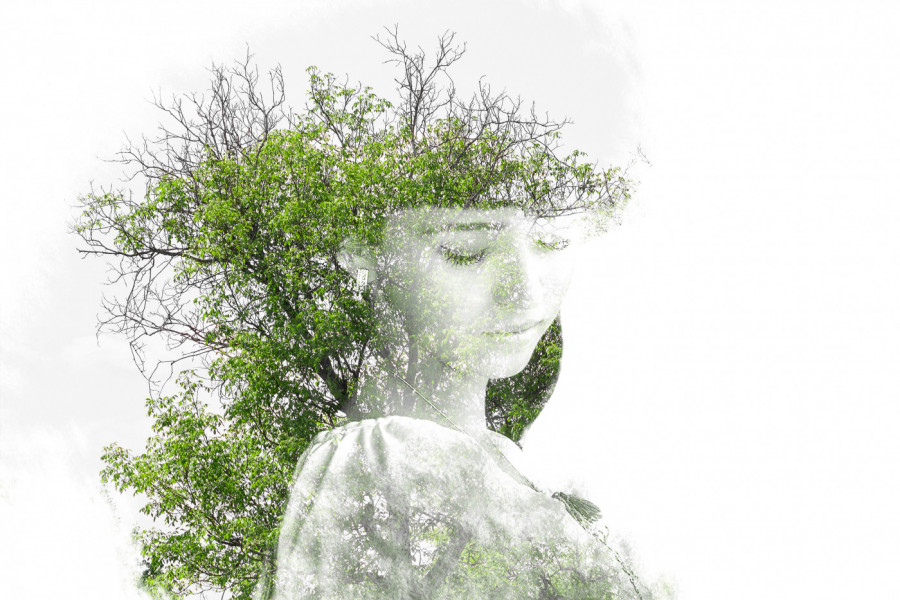 Da li ste prvo videli ŽENU ili DRVO? Jedno ističe da cenite partnera, a drugo samostalnost! (FOTO)