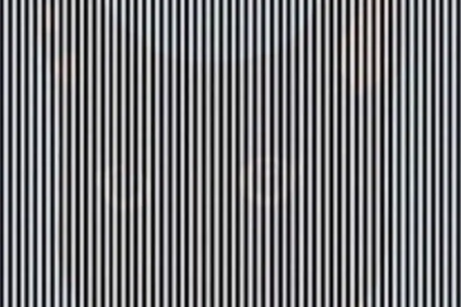 Da li vidite ŽIVOTINJU na slici? Optička ILUZIJA koja će vam bukvalno ZALUDETI mozak! (FOTO)