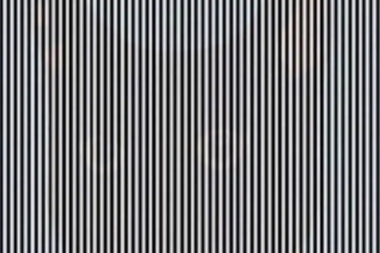 Da li vidite ŽIVOTINJU na slici? Optička ILUZIJA koja će vam bukvalno ZALUDETI mozak! (FOTO)