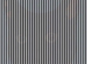 Da li vidite ŽIVOTINJU na slici? Optička ILUZIJA koja će vam bukvalno ZALUDETI mozak! (FOTO)