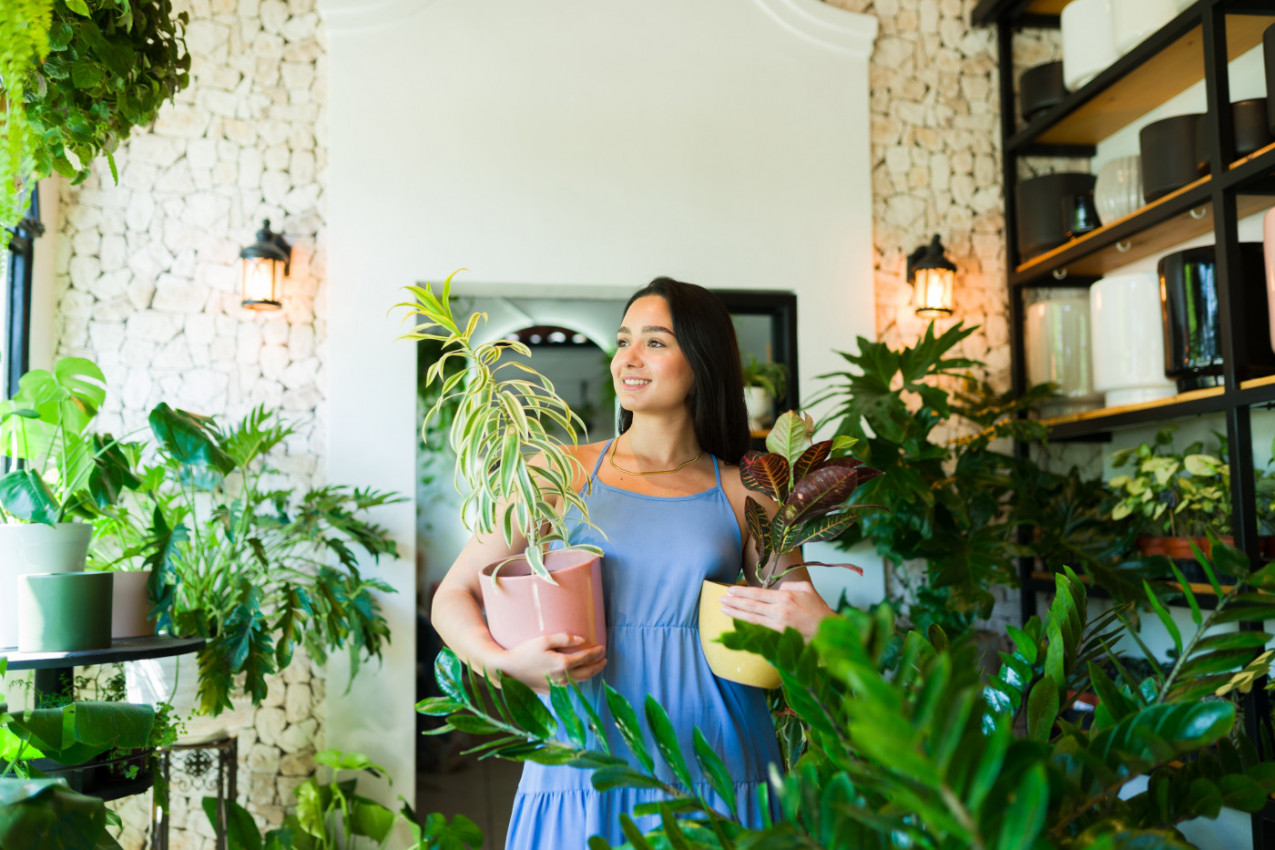 Moć prirode u domu: Zeleni TALISMANI BLAGOSTANJA - ovih 7 biljaka donose zdravlje, ljubav i novac (FOTO)