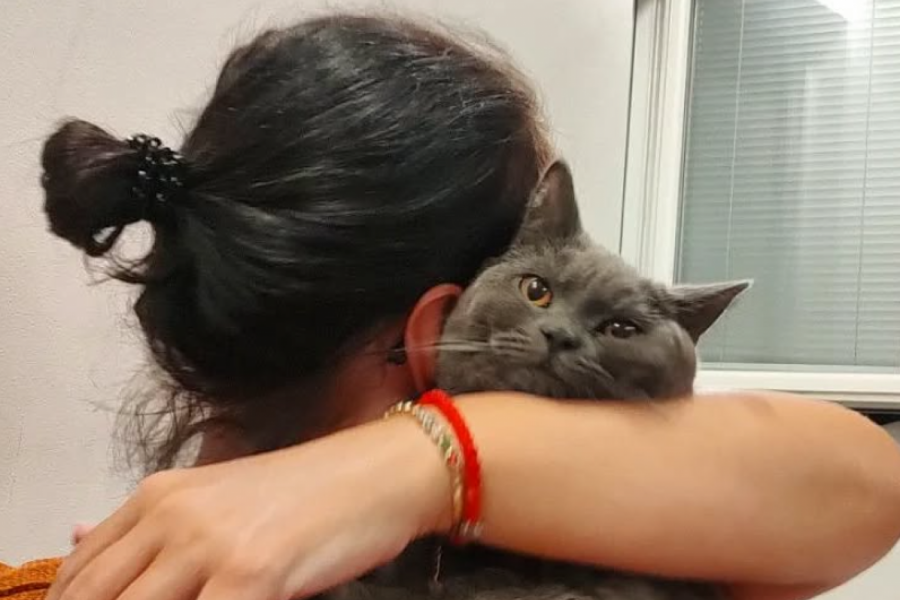 Ko god kaže da su četrdesete nove dvadesete - LAŽE: Ponavljam sebi da nisam luda, samo sam u PERIMENOPAUZI!