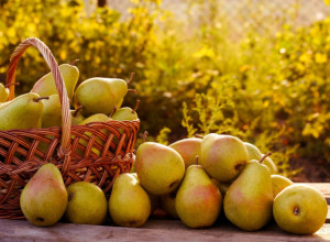 Zašto je dobro da jedete KRUŠKE: Voćka koja čuva SRCE, creva i IMUNITET, a mogu da je jedu i dijabetičari