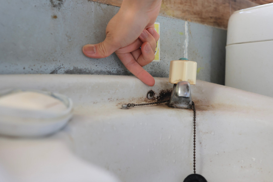 Da li znate koje su razlike između BUĐI i PLESNI: Ovo su zdravstveni rizici, a evo kako se čiste