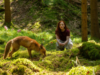 Stižu filmovi iz brojnih zemalja