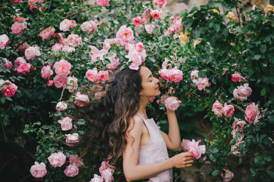 Želite BAŠTU iz snova: Isprobajte neku od 4 vrste RUŽA koje je najbolje posaditi baš u jesen