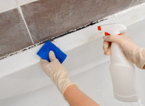 ZA blistavo čisto kupatilo: Uz jedan prirodan sastojak CRNA BUĐ će bukvalno NESTATI preko noći, i to bez ribanja