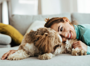Ove tri rase pasa su NAJPOŽELJNIJI  kućni ljubimci: Godinama su na vrhu svake liste