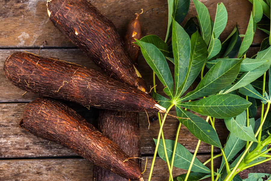 Svi je jedu, ali ne znaju da je NAJOPASNIJA NAMIRNICA: Ubije 200 ljudi širom sveta, greška je u PRIPREMI