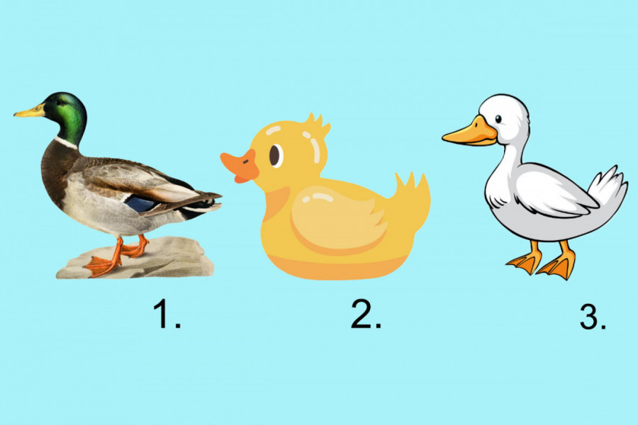 TEST LIČNOSTI koji otkriva više nego što mislite: Izaberite jednu patku i saznajte šta vaš izbor govori o vama