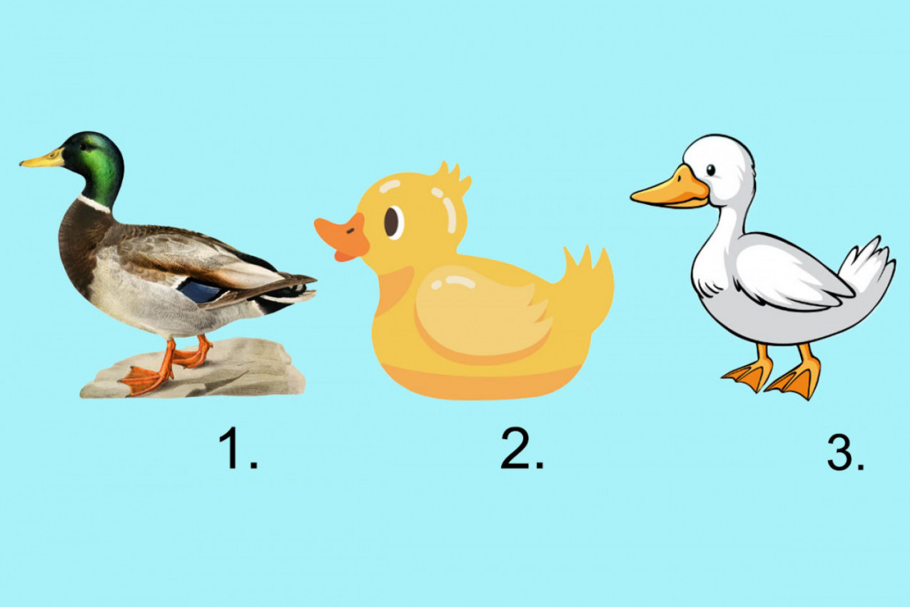 TEST LIČNOSTI koji otkriva više nego što mislite: Izaberite jednu patku i saznajte šta vaš izbor govori o vama