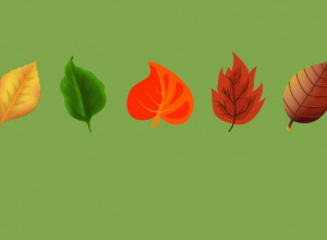 TEST LIČNOSTI koji nepogrešivo pogađa: Jednostavan način koji otkriva vašu skrivenu snagu (FOTO)