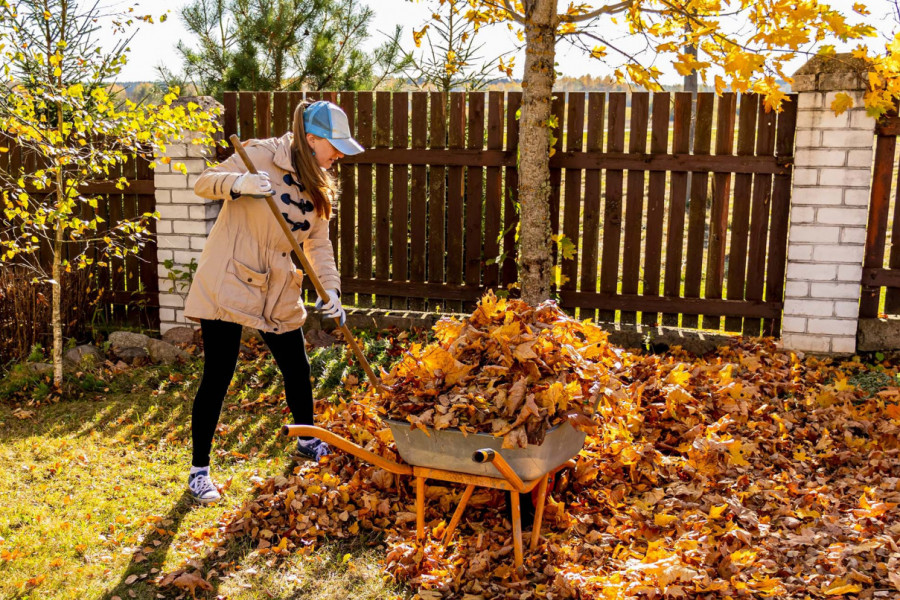 Zašto sunčani novembar nije dobar za vašu baštu