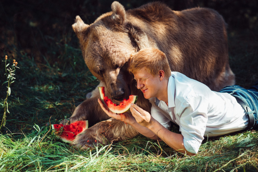 Kupili MEDVEDA i podigli ga KAO SINA: Herkules je osvojio ceo svet, a njegova priča i danas izaziva suze (VIDEO)