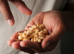 Ako već volite grickalice, birajte ovu - istraživanja pokazuju da poboljšava funkciju mozga