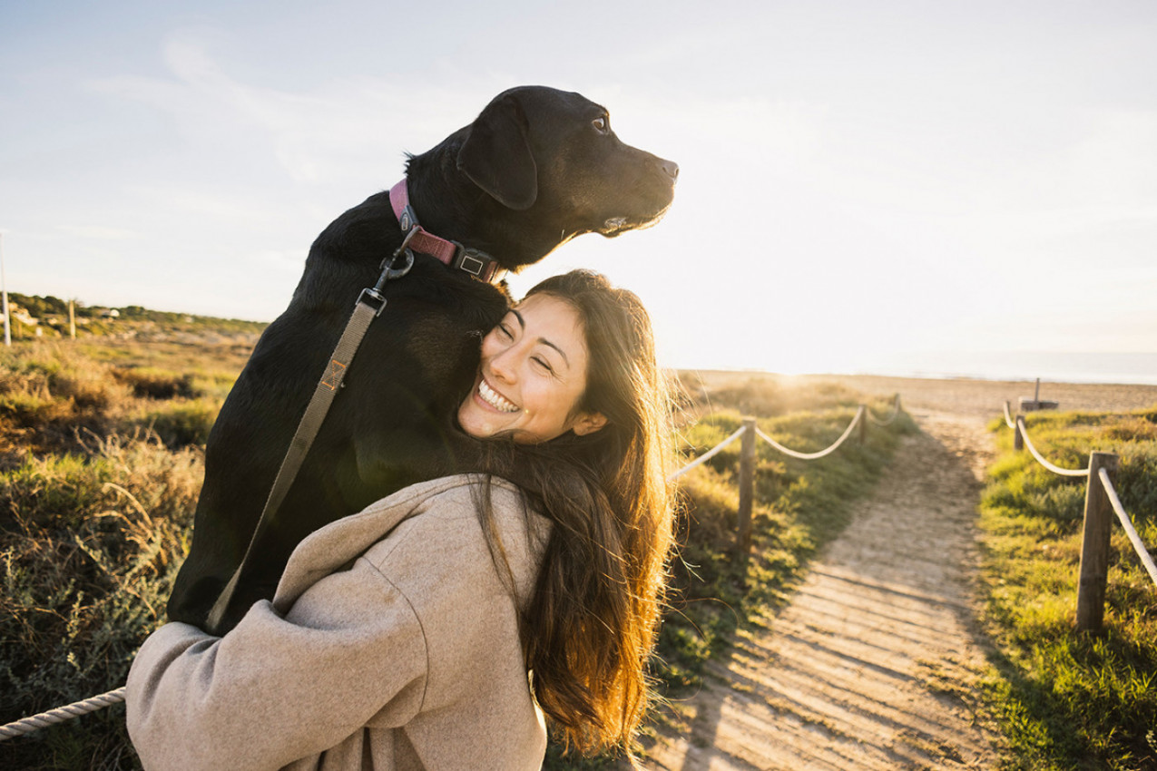 Kada SUDBINA umeša prste: Devojka je na putovanju videla fotografiju PSA i prešla pola sveta da bi ga udomila! (VIDEO)