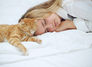 Izluđuje vas mačka koja vam SPAVA maltene NA GLAVI: Istopićete se kada saznate šta stoji iza toga!