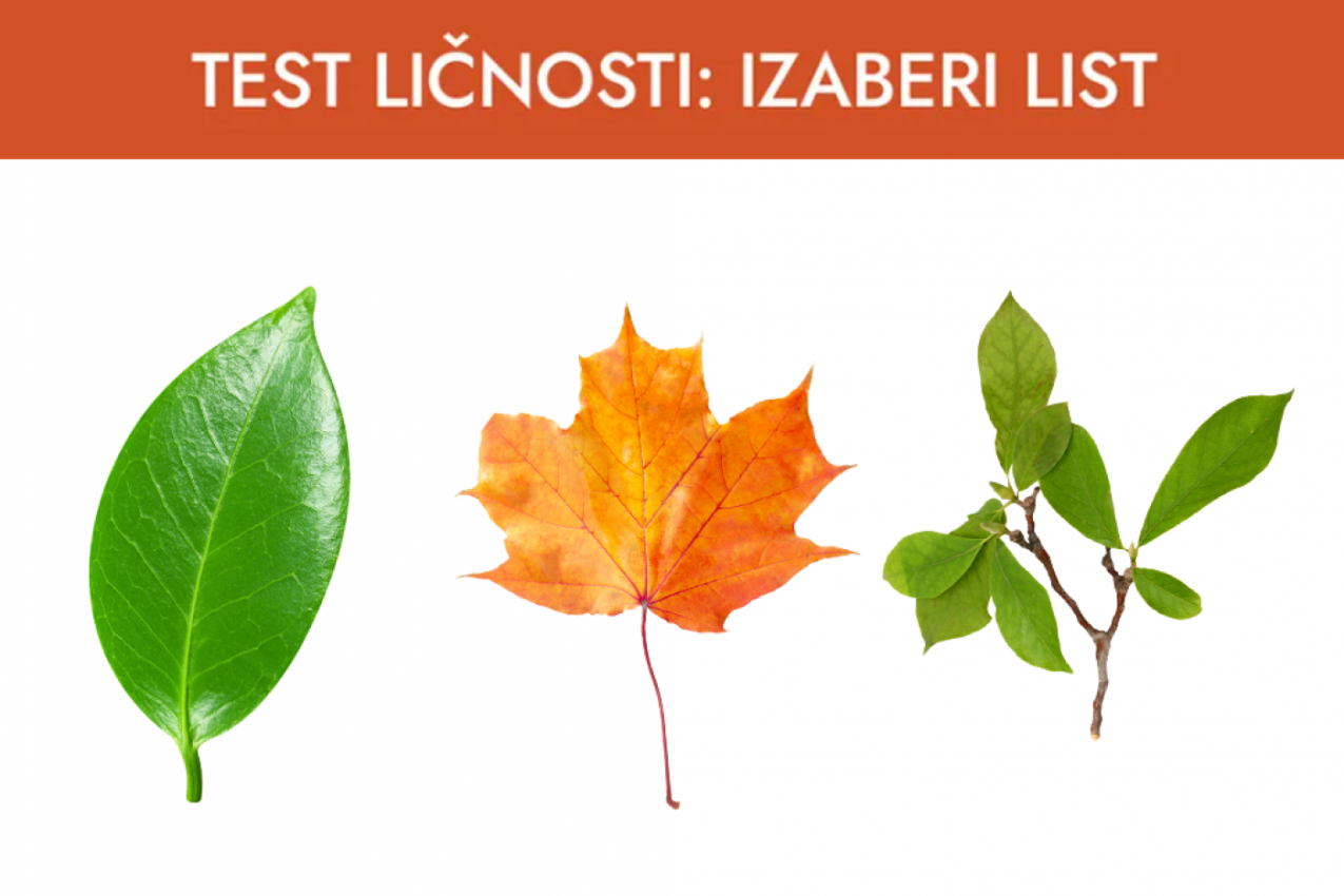 TEST LIČNOSTI - Izaberite list sa slike koji vam se najviše sviđa: Saznajte odakle crpite SKRIVENU SNAGU