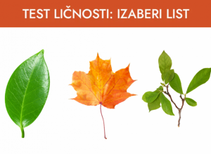 TEST LIČNOSTI - izaberite list sa slike koji vam se najviše sviđa: Saznajte odakle crpite SKRIVENU SNAGU