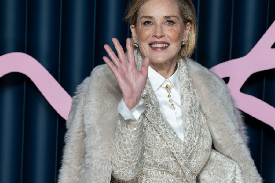 ŠERON STOUN više ne izgleda ovako: Bila pristalica prirodnog starenja - sad je ni najverniji fanovi ne prepoznaju (FOTO)