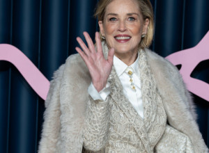 ŠERON STOUN više ne izgleda ovako: Bila pristalica prirodnog starenja - sad je ni najverniji fanovi ne prepoznaju (FOTO)