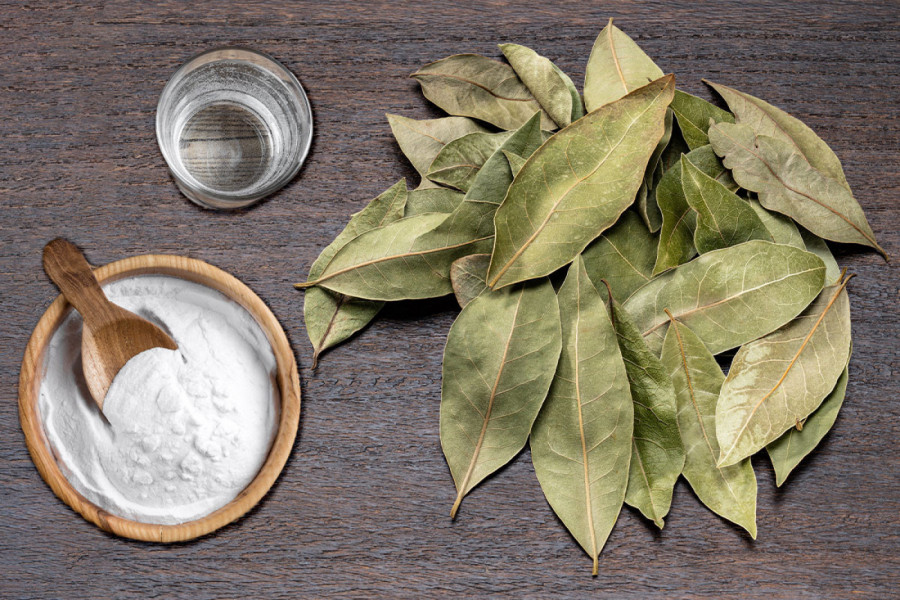 Lovor i sodu bikarbonu svi imate, a ne znate da rešava VELIKI PROBLEM: Stavićete ih u svaku sobu kada čujete kako deluje