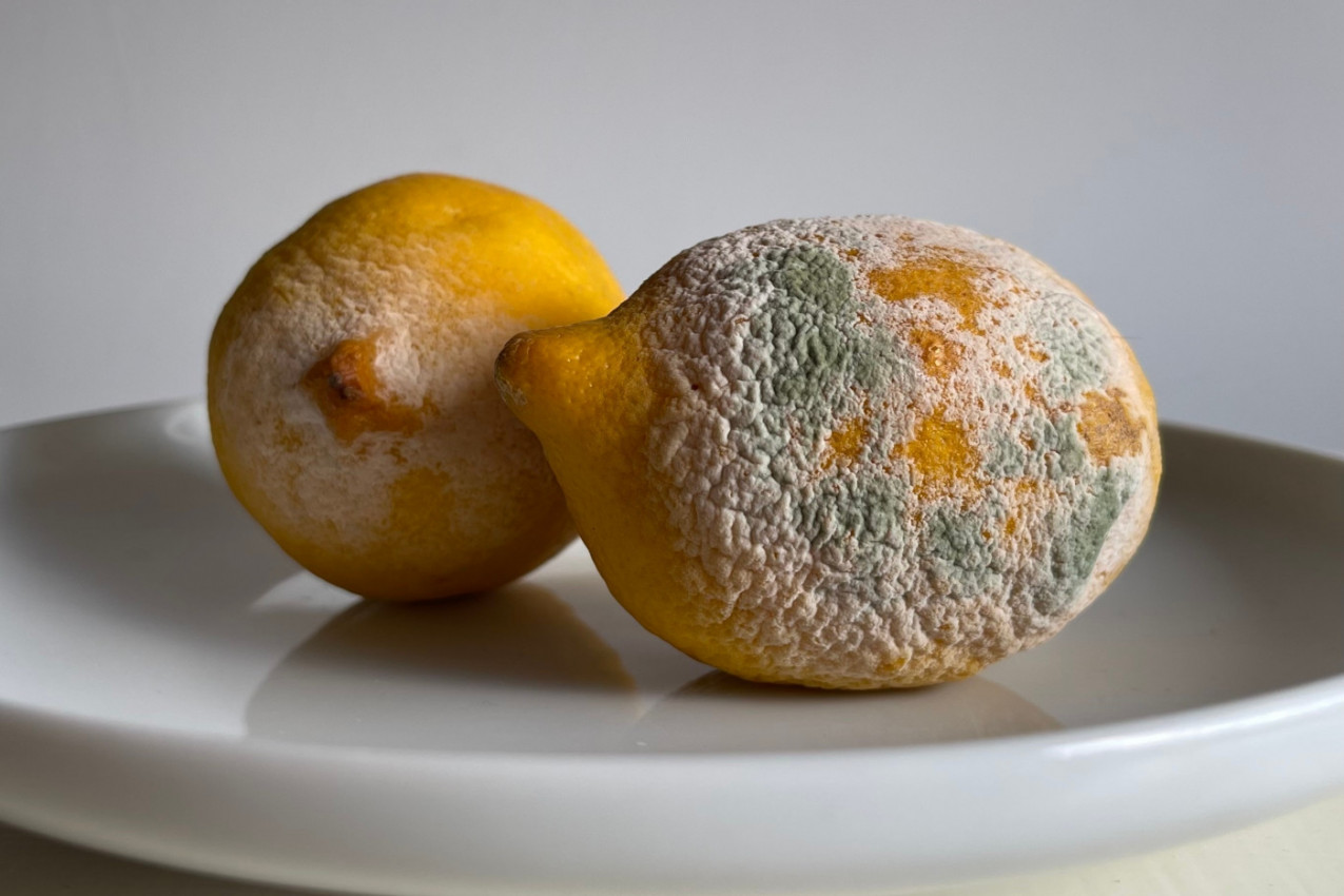 Ovako će biti sočan kao prvog dana: Evo kako da sačuvate svežinu LIMUNA duže od 3 nedelje!