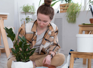 Svi prave istu GREŠKU sa ZAMIJOM - zato biljka koja je simbol BOGATSTVA propada u mnogim domovima