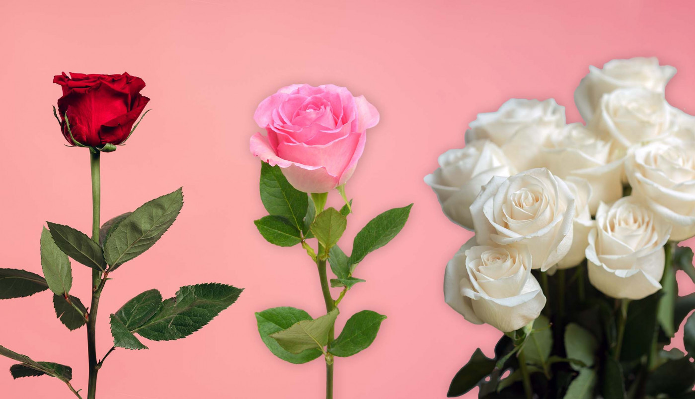 Izaberite RUŽU bez razmišljanja: Rezultat otkriva kako se nosite sa STRESOM