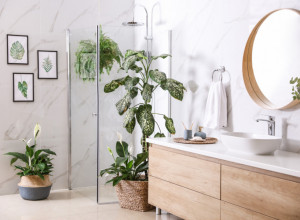 NASA potvrđuje: 5 sobnih BILJAKA koje prirodno pročišćavaju VAZDUH i čine vaš dom ZDRAVIJIM