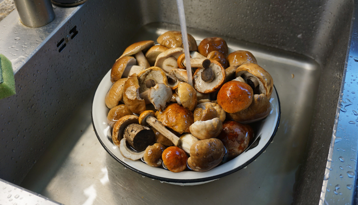 Greška koju svi pravimo: Nikad više ne perite PEČURKE pre pripreme – evo šta im voda radi