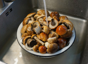 Greška koju svi pravimo: Nikad više ne perite PEČURKE pre pripreme – evo šta im voda radi