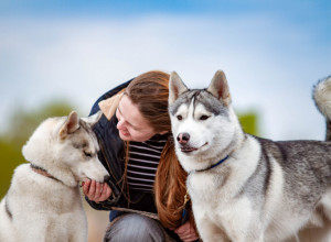 Da li PSI zaista mogu da nanjuše LOŠE LJUDE? Njihova reakcija na neke osobe nije slučajna – evo šta stoji iza toga!