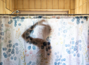 Šokirala se kad je saznala KAKO SE MUŽ TUŠIRA: Svi joj savetuju da se zbog toga odmah iseli