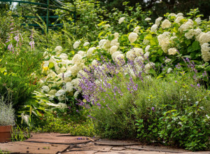Želite da vam CELO DVORIŠTE MIRIŠE još od proleća: Posadite ove 3 biljke i nećete se pokajati!