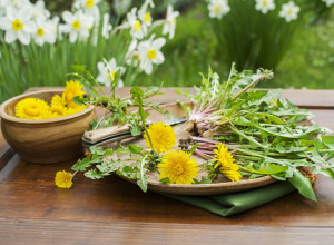 Berite MASLAČAK, nećete se pokajati: Čudesna salata koja čisti telo i jača imunitet