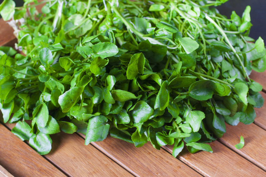 Najzdravije POVRĆE na svetu uspeva i u Srbiji, a skoro ga niko NE JEDE: Ima više vitamina C od pomorandže i gvožđa od spanaća