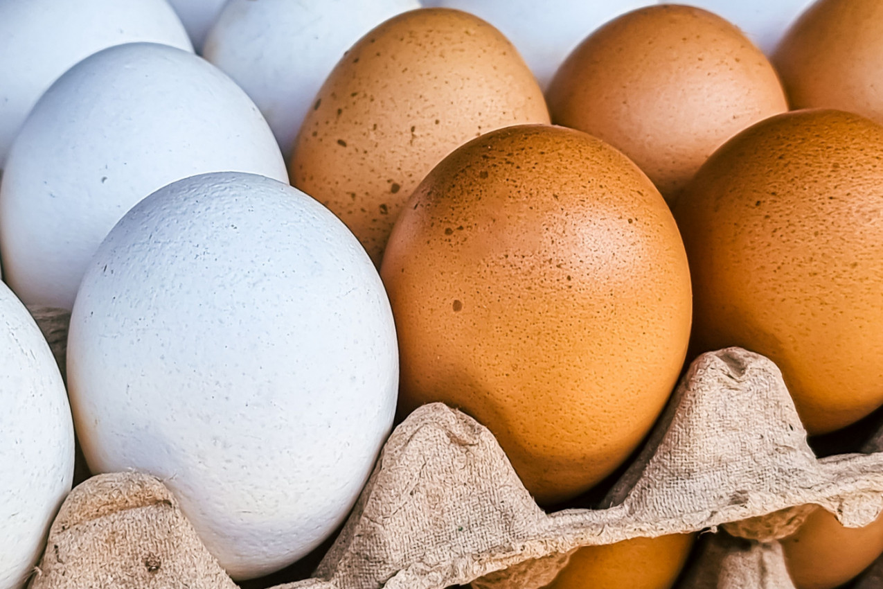 Budite PAŽLJIVI prilikom KUPOVINE: Evo kako da prepoznate kvalitetno JAJE i izbegnete opasnost za Vaskrs