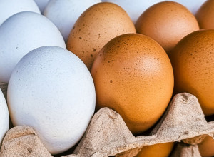 Budite PAŽLJIVI prilikom KUPOVINE: Evo kako da prepoznate kvalitetno JAJE i izbegnete opasnost za Vaskrs