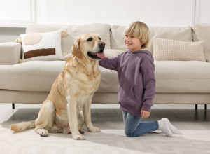 Top 6 pasa za porodice sa decom – jedan je apsolutni favorit!