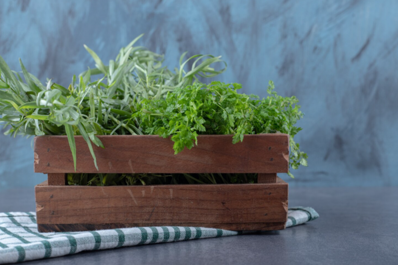 Ne traže mnogo brige ni prostora: Ovih 6 začinskih biljaka možete da uzgajate i na malom balkonu
