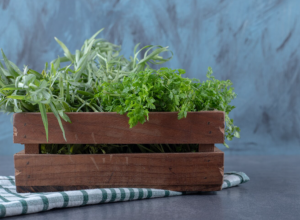 Ne traže mnogo brige ni prostora: Ovih 6 začinskih biljaka možete da uzgajate i na malom balkonu