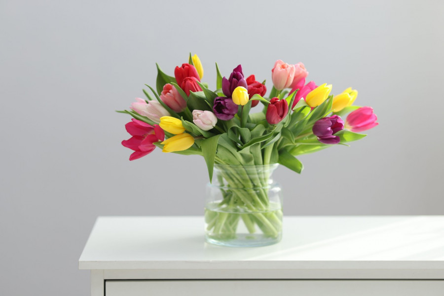 Kupili ste lale za Vaskrs: Ovih 5 saveta pomoći će da ostanu sveže i lepe danima