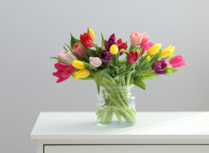 Kupili ste lale za Vaskrs: Ovih 5 saveta pomoći će da ostanu sveže i lepe danima