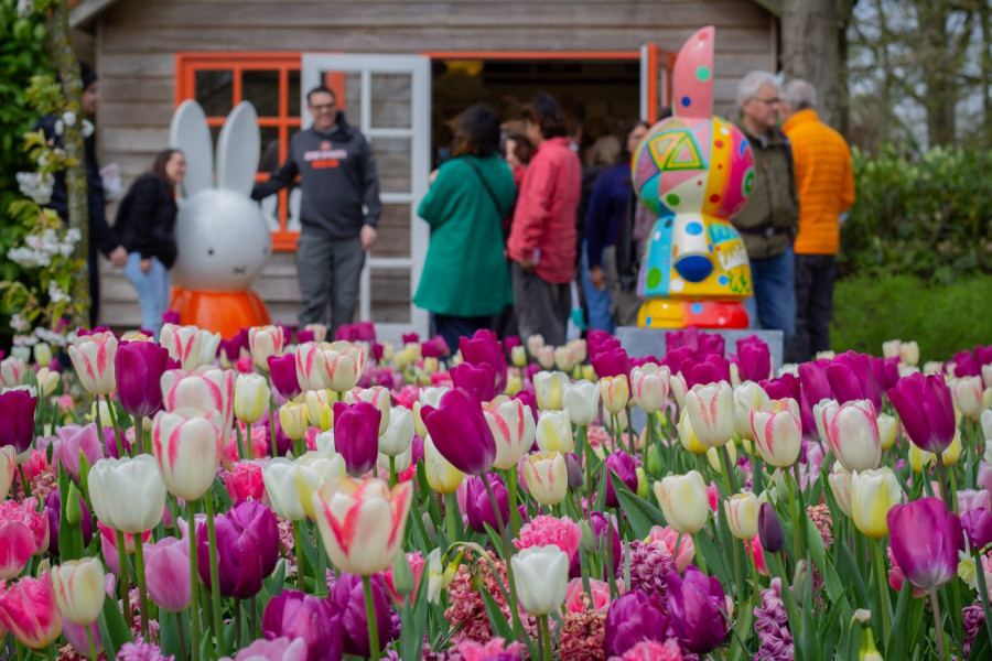 Milioni hrle u Holandiju zbog OVOGA: Prizor je NESTVARAN, a evo o čemu je reč