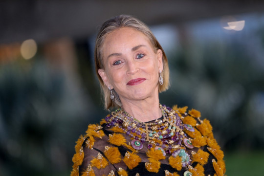 Smela i u sedmoj deceniji: ŠERON STOUN se pojavila u haljini koja je čista provokacija, a evo šta su SVI primetili