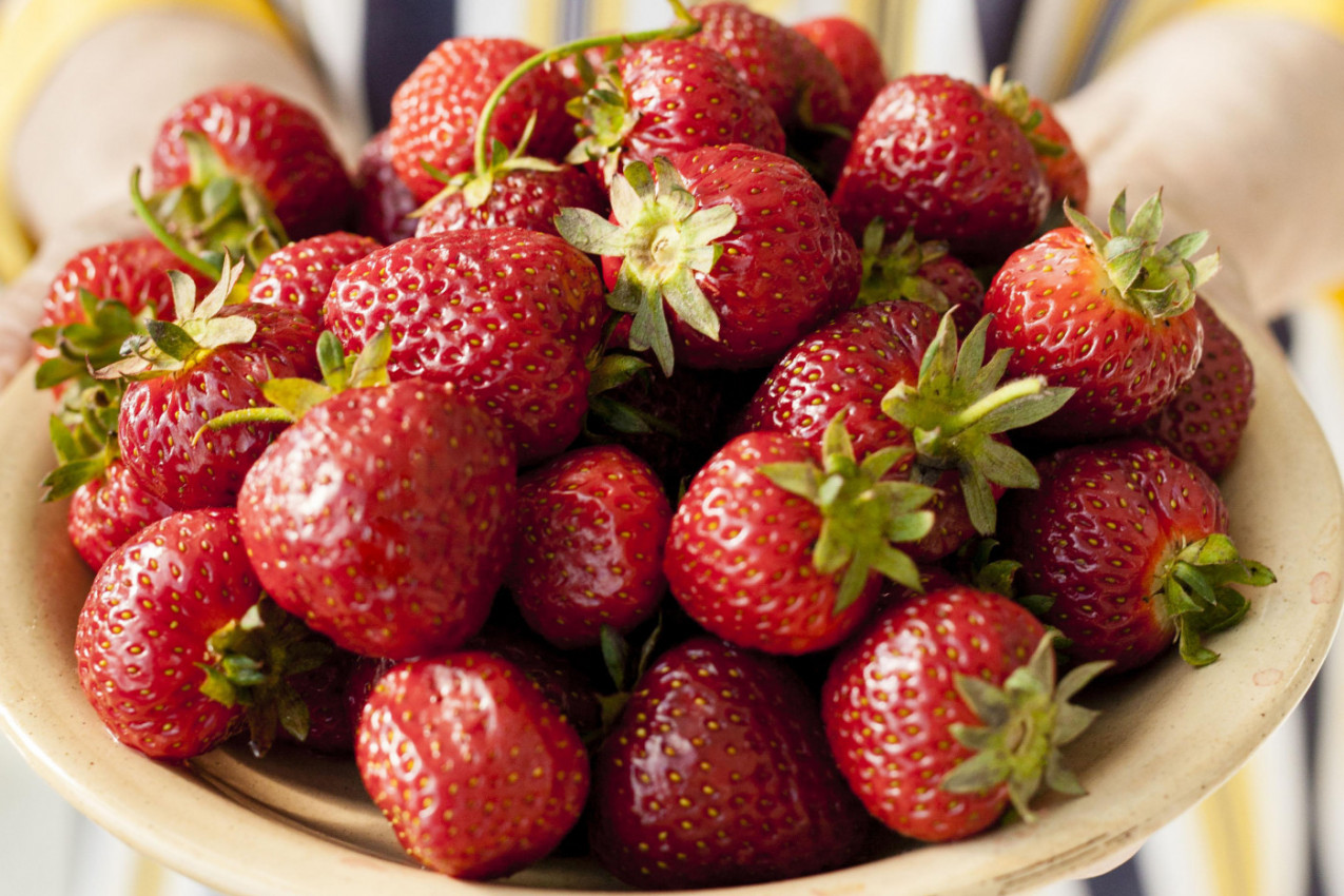 Kako da razlikujete domaće jagode od uvoznih: Dva znaka su ključna!